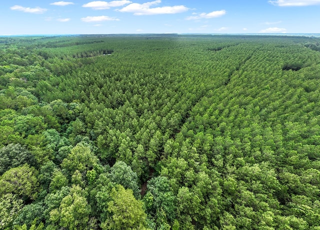 1620 Fm 1751, San Augustine, TX 75972