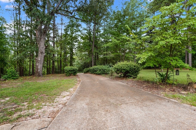 129 Neches Dr, Brookeland, TX 75931 - photo 37