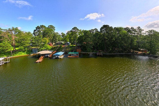 208 Magnolia Dr, Burkeville, TX 75932 - photo 24