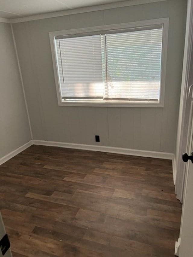 spare room with crown molding and dark hardwood / wood-style floors