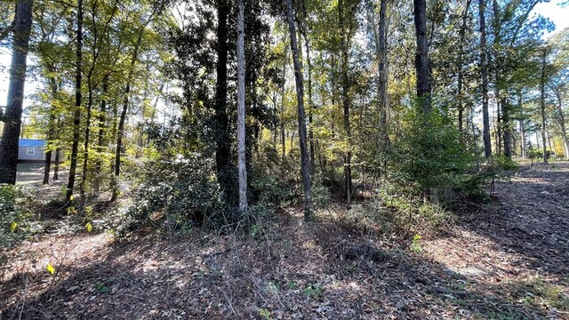 110 Pinecone Ln, Hemphill TX, 75948 land for sale