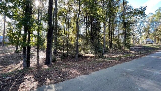 110 Pinecone Ln, Hemphill, TX 75948 - photo 4