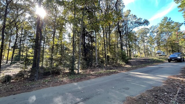 110 Pinecone Ln, Hemphill, TX 75948 - photo 3