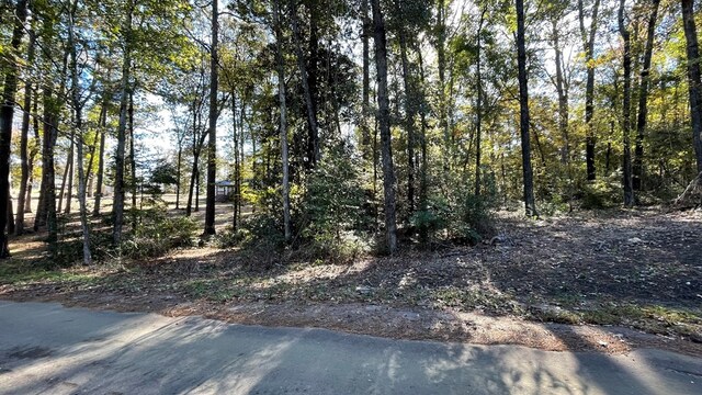 110 Pinecone Ln, Hemphill, TX 75948 - photo 2