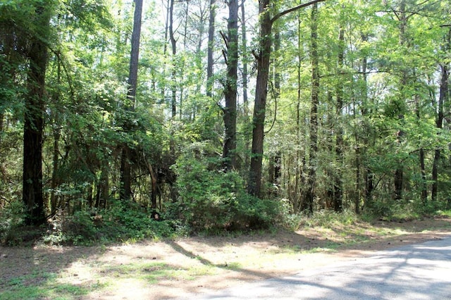 1090 Cedar Grove Rd, Hemphill TX, 75948 land for sale