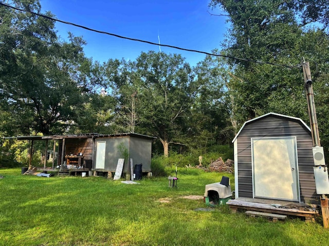 view of yard with a storage shed