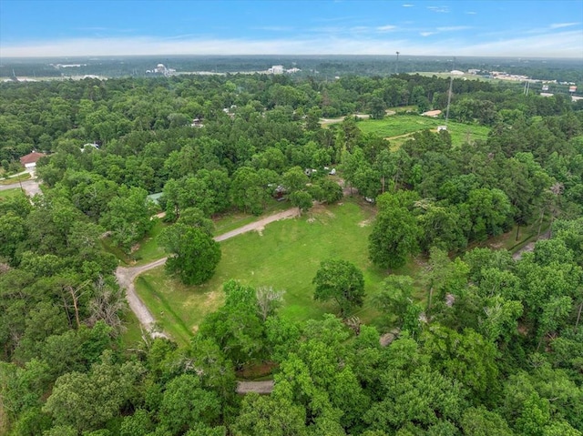 bird's eye view