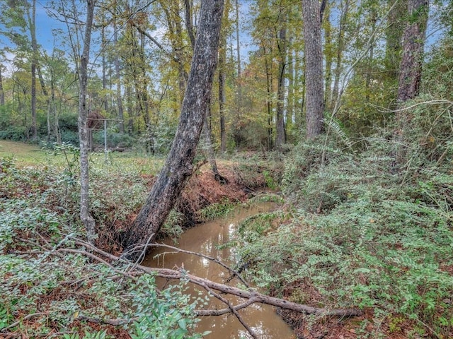 309 County Barn Rd, Lufkin, TX 75904 - view of nature