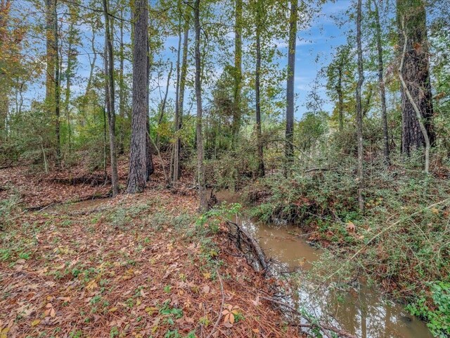 309 County Barn Rd, Lufkin, TX 75904 - view of undeveloped land