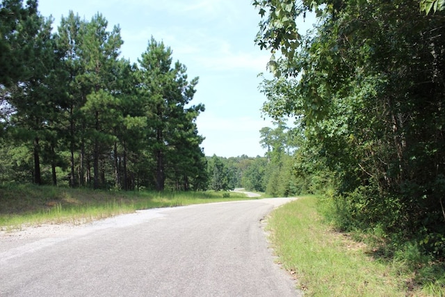 290 County Road 173, Jasper, TX 75951 - photo 31