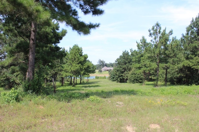 290 County Road 173, Jasper, TX 75951 - photo 25