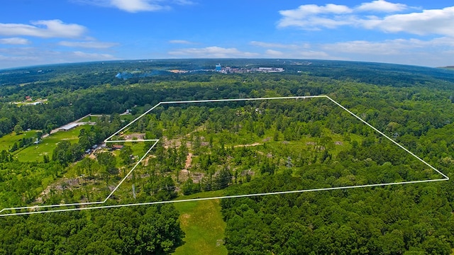 311 Four B Ln, Angelina County, TX 75901 - photo 30