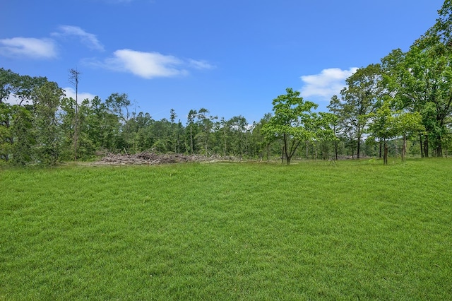 311 Four B Ln, Angelina County, TX 75901 - photo 31
