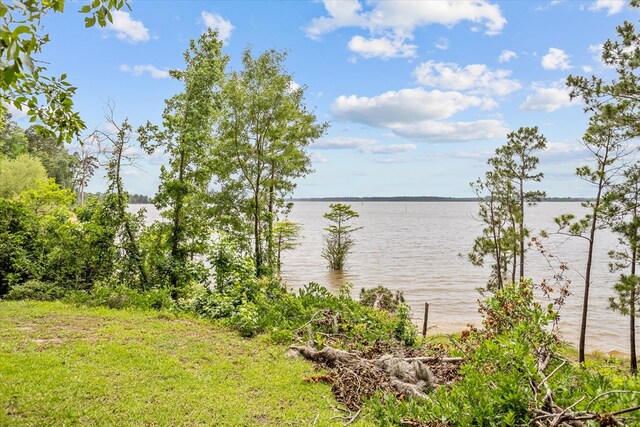 183 Holly Cir, Etoile, TX 75944 - water view