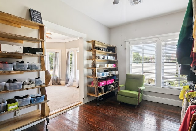 living area with ceiling fan and dark hardwood / wood-style flooring