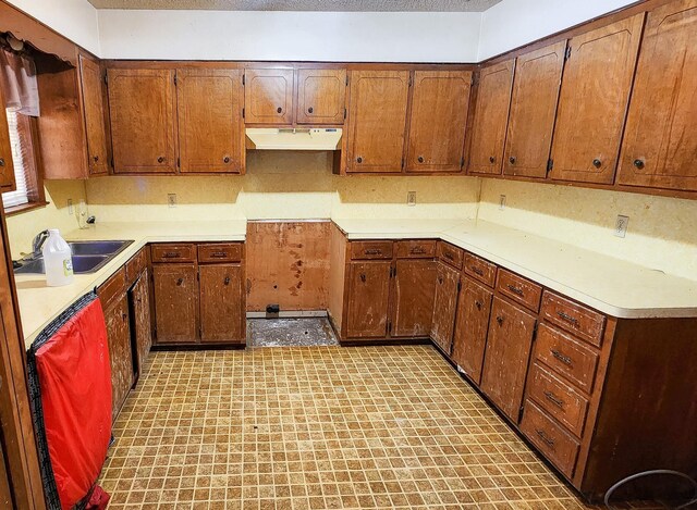 kitchen featuring sink