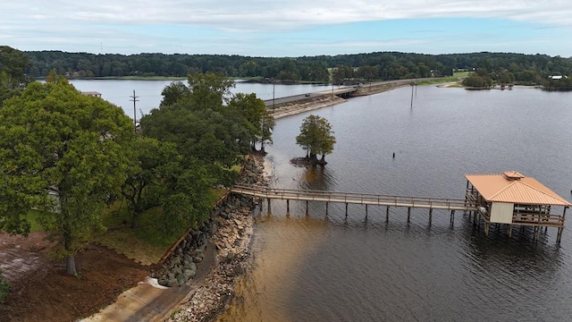 property view of water