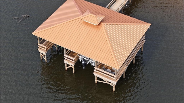 dock area with a water view