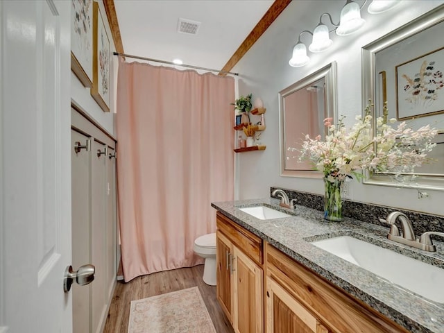 bathroom with wood finished floors, toilet, double vanity, and a sink