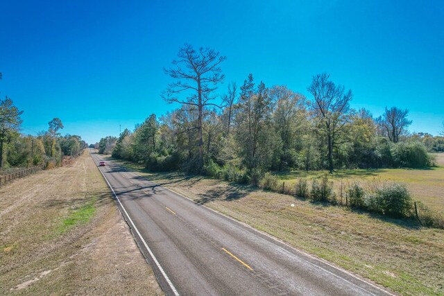 view of local wilderness