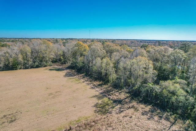 bird's eye view with a wooded view