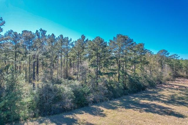 view of landscape featuring a forest view