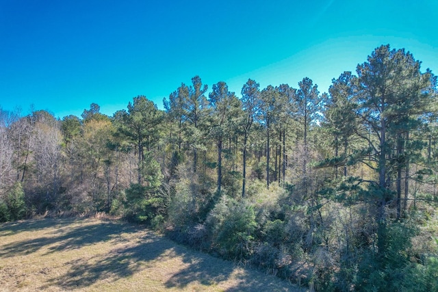 view of local wilderness with a view of trees