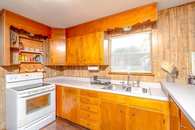 496 County Road 486, Broaddus, TX 75929 - kitchen with electric stove, a sink, light countertops, brown cabinets, and wood walls