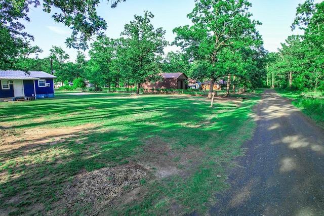 496 County Road 486, Broaddus, TX 75929 - view of grassy yard