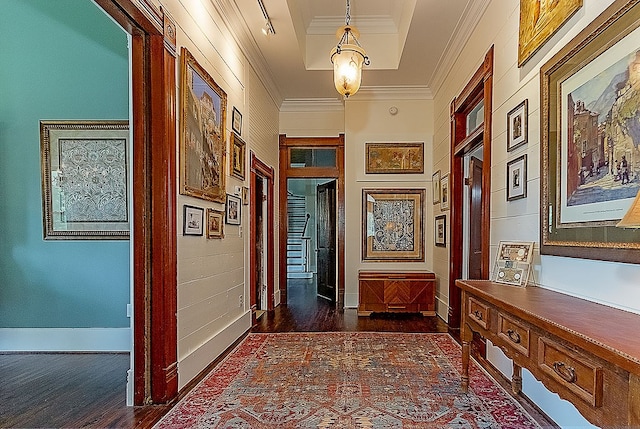 corridor with dark hardwood / wood-style flooring, a tray ceiling, and ornamental molding