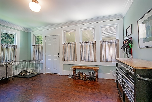 entryway with dark wood-type flooring and ornamental molding