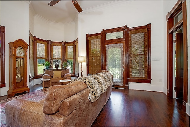 living room featuring ceiling fan, dark hardwood / wood-style flooring, a high ceiling, and ornamental molding