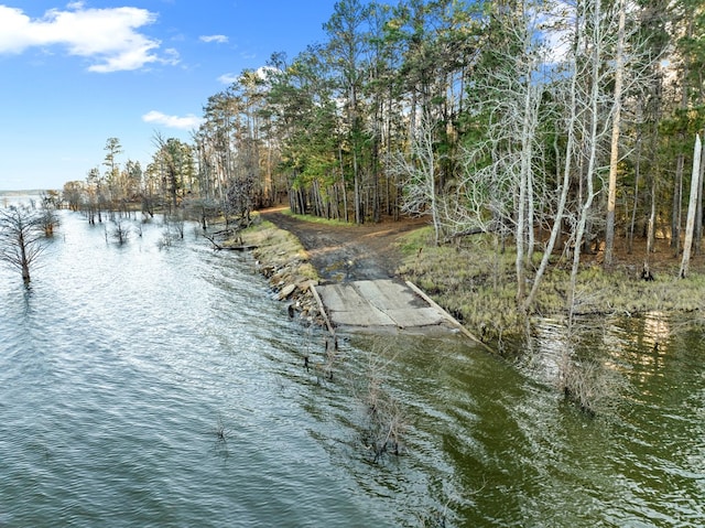 view of water feature