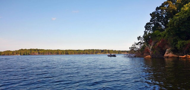 property view of water with a view of trees