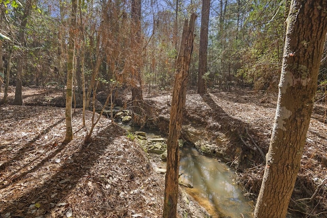 view of local wilderness featuring a forest view