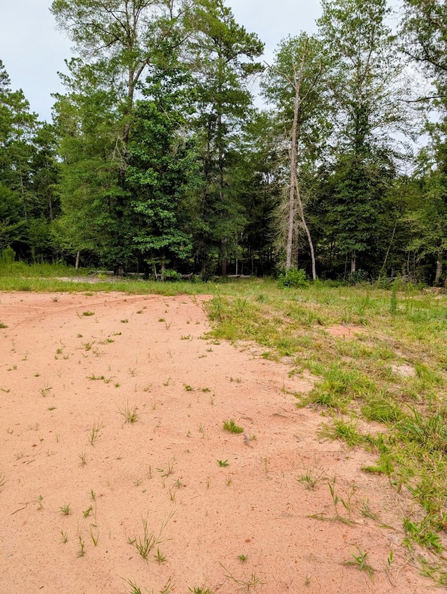R31880 Fm 1669, Huntington, TX 75949 - photo 4