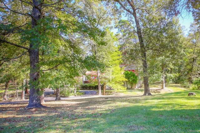 310 Karen Dr, Lufkin, TX 75904 - view of yard