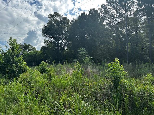 1120 Lawrence St, Diboll, TX 75941
