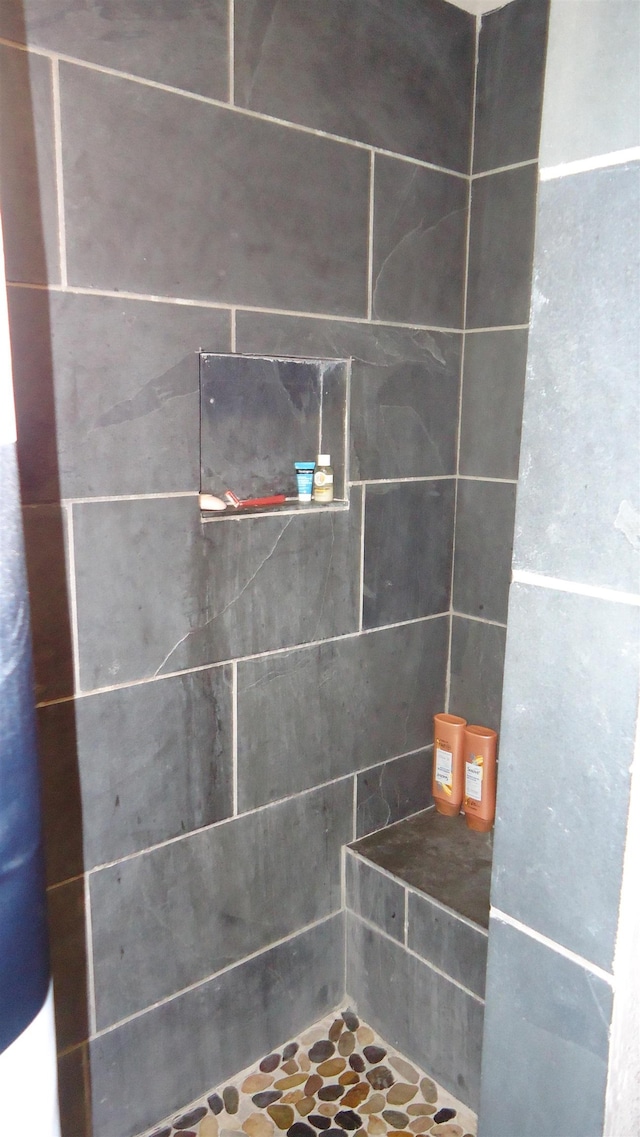 room details featuring tiled shower