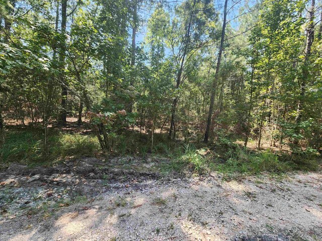 265 Sweetgum, Brookeland, TX 75931 - photo 1