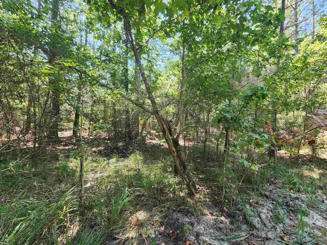 265 Sweetgum, Brookeland, TX 75931 - photo 2