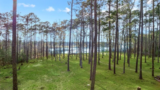 182 County Road 223, Brookeland, TX 75931