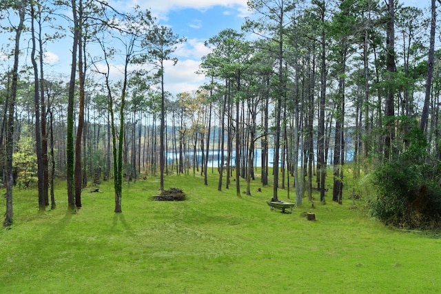 182 County Road 223, Brookeland, TX 75931