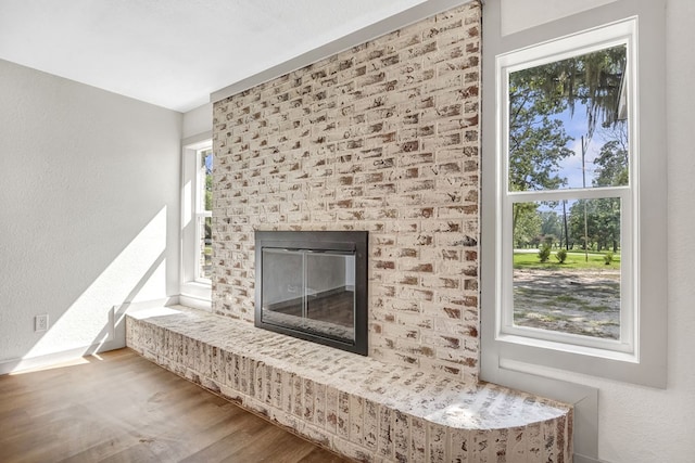 room details featuring hardwood / wood-style floors and a fireplace