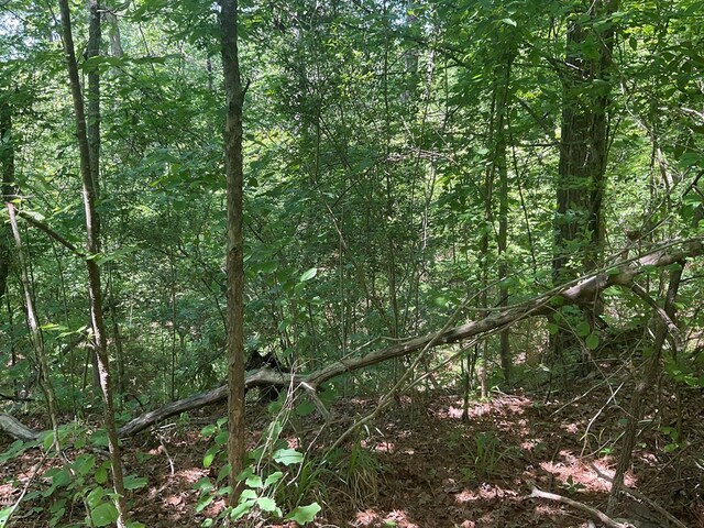 4499 Weaver Bend Rd, Huntington, TX 75949 - view of landscape with a wooded view