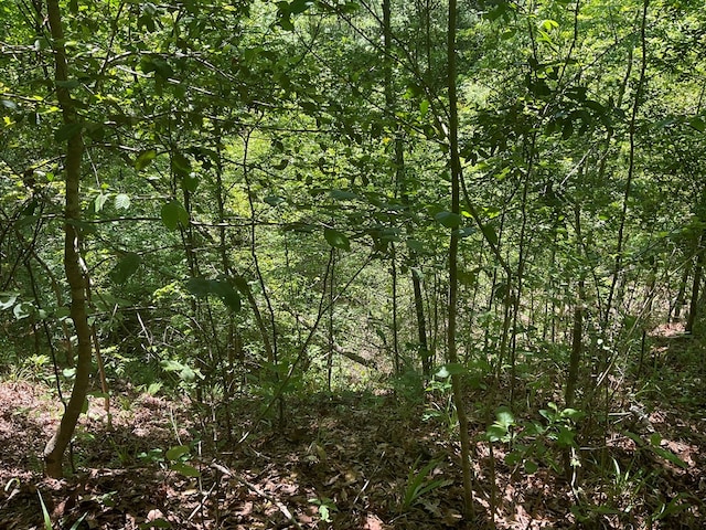 4499 Weaver Bend Rd, Huntington, TX 75949 - view of landscape featuring a forest view