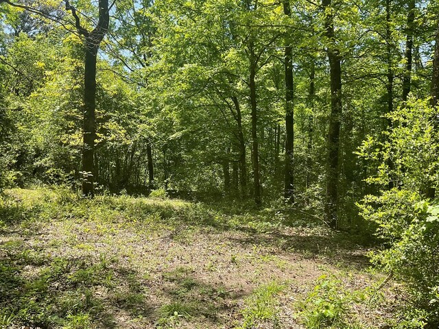4499 Weaver Bend Rd, Huntington, TX 75949 - view of landscape with a view of trees