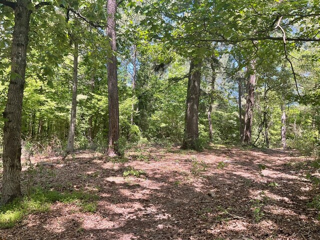 4499 Weaver Bend Rd, Huntington, TX 75949 - view of nature featuring a forest view