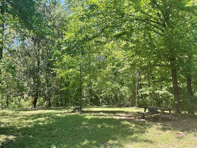 4499 Weaver Bend Rd, Huntington, TX 75949 - view of nature with a wooded view