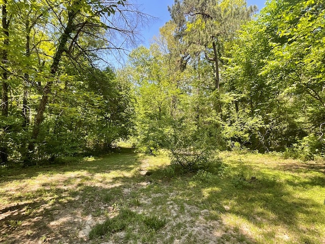4499 Weaver Bend Rd, Huntington, TX 75949 - view of nature with a view of trees